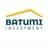 Batumi Investment logo