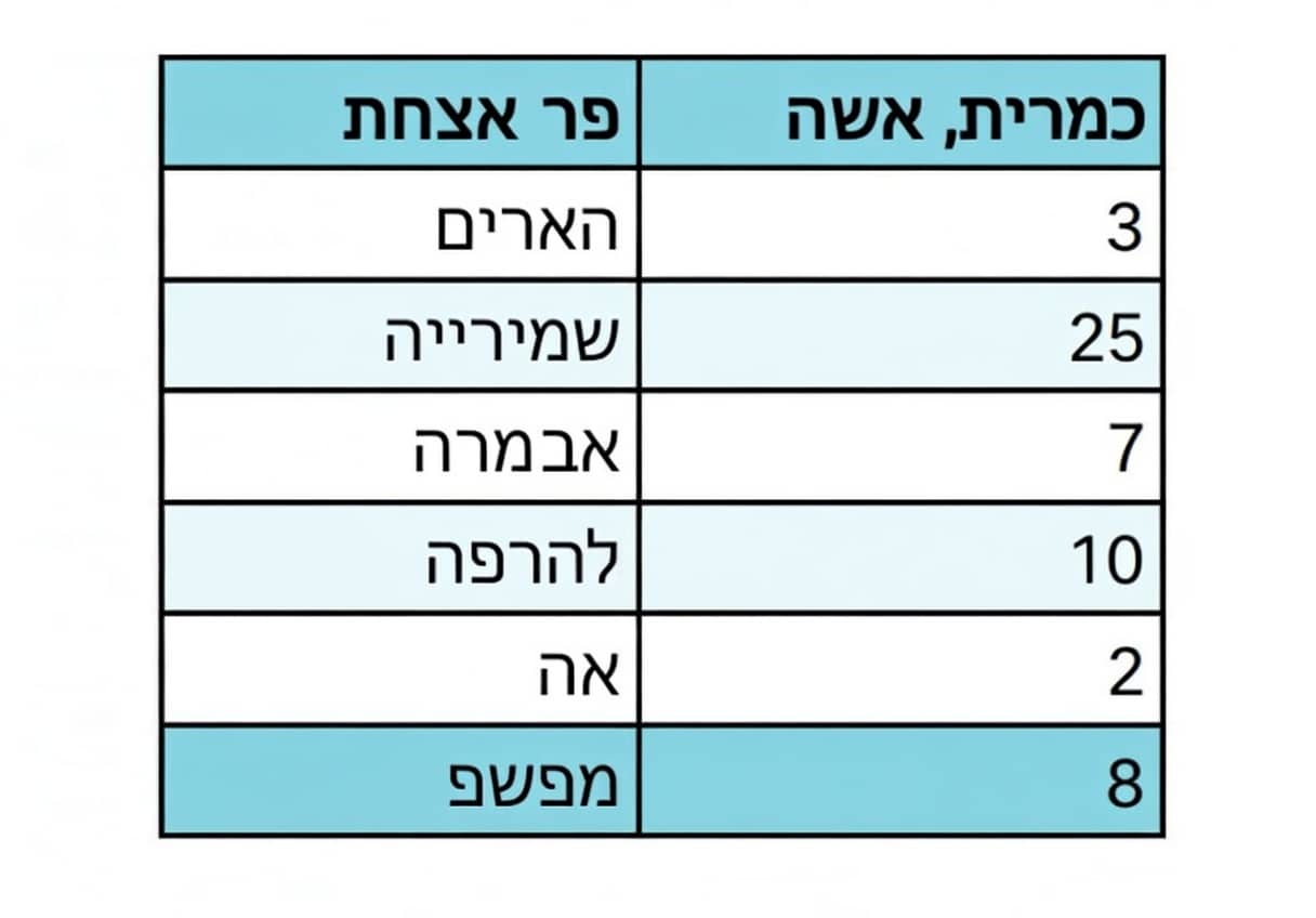 עלייה במחירי בניינים חדשים במשך 3 שנים